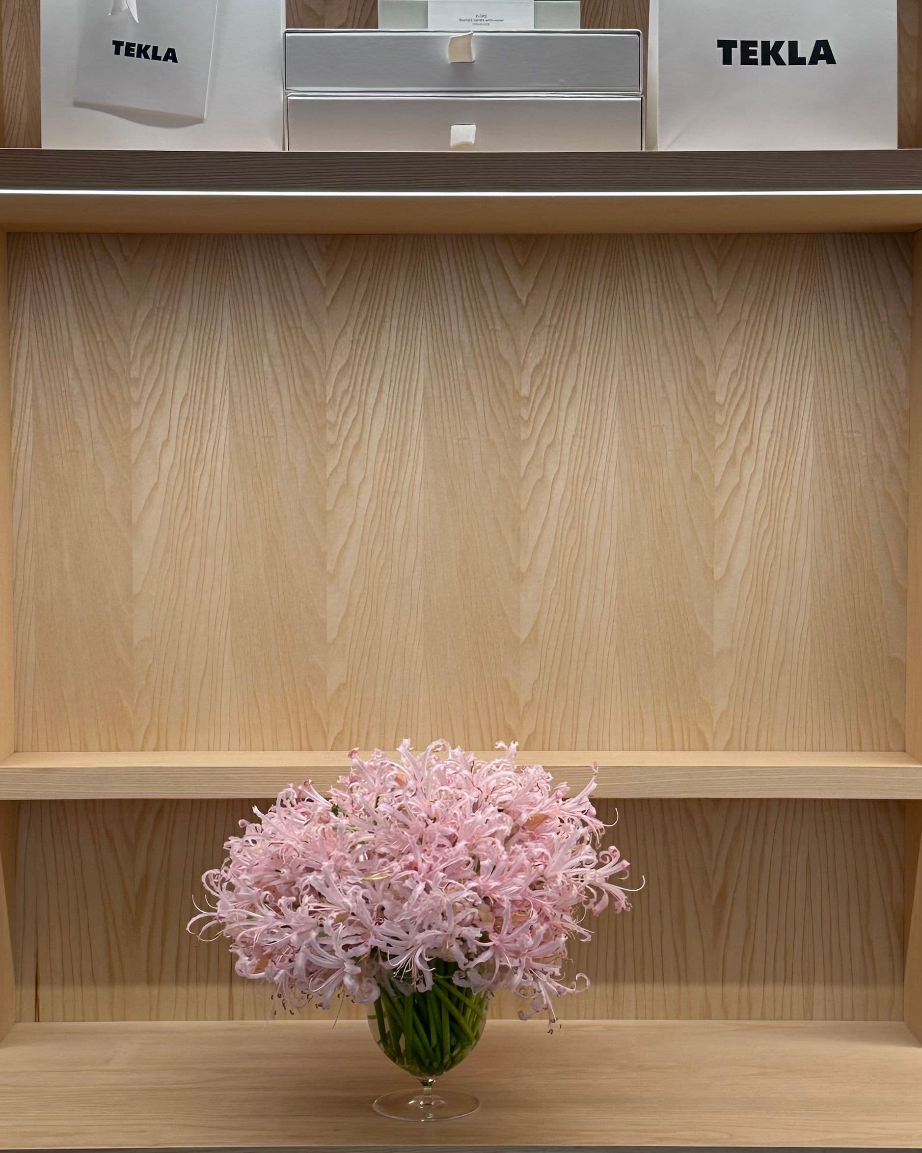 Pink nerines on a pale wooden shelf at TEKLA