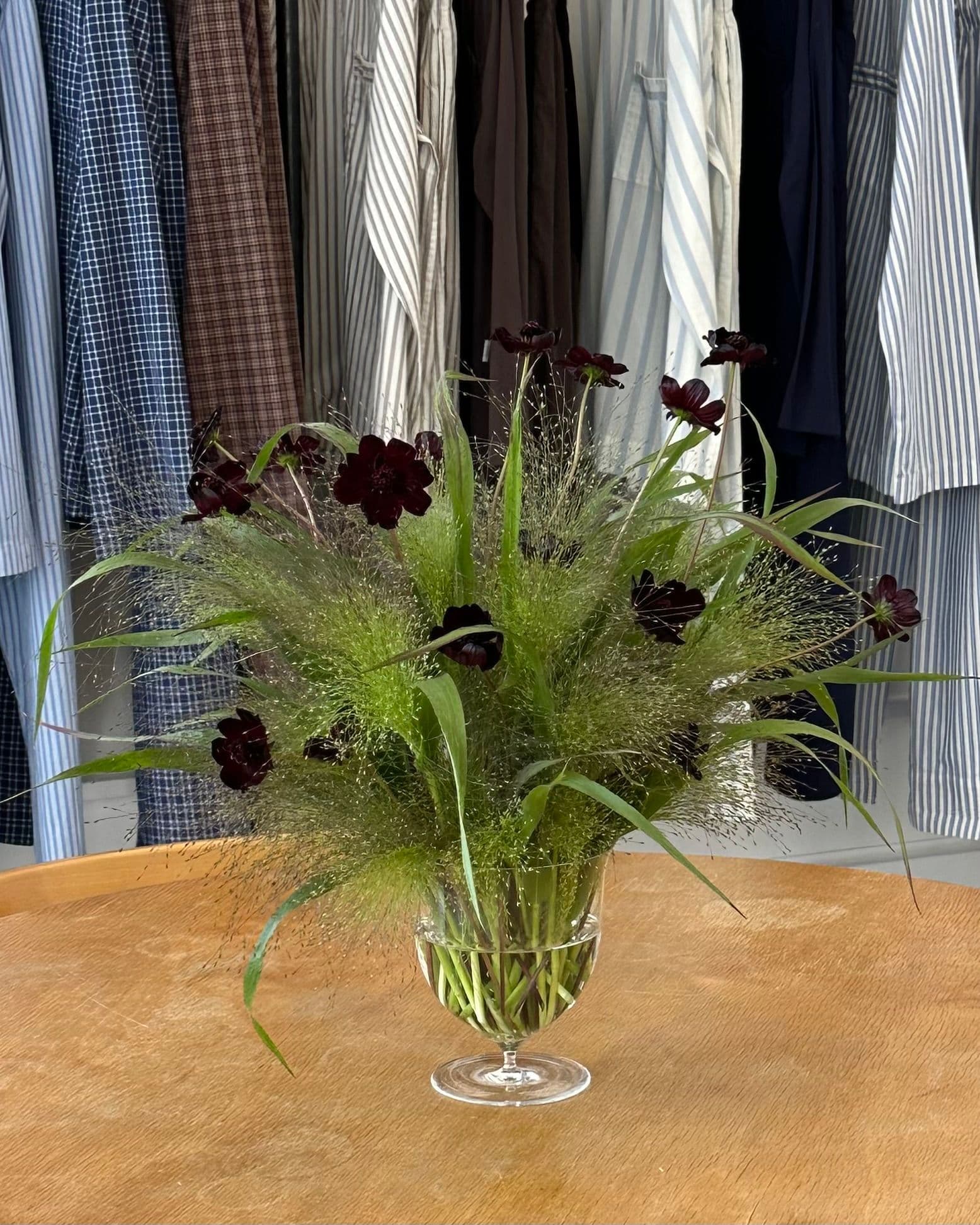 Dark cosmos and grasses in front of a rail of shirts